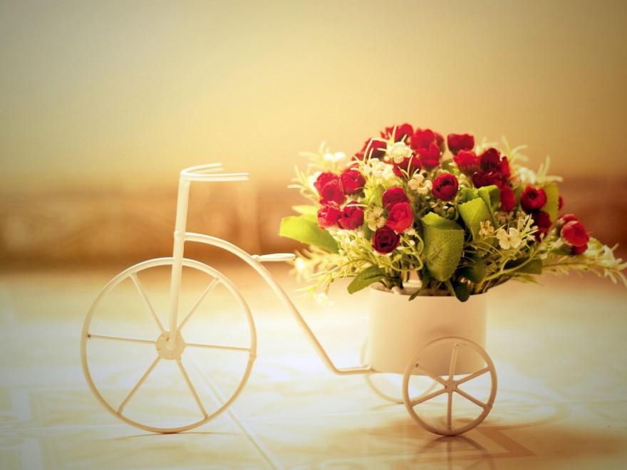 What To Expect from Flower Delivery Services in Hyderabad